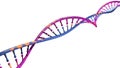 DNA is a thread-like chain of nucleotides carrying the genetic instructions used in the growth, development, functioning a