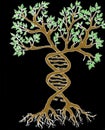 DNA AND TREE