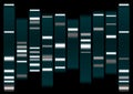 Dna white Royalty Free Stock Photo