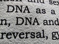 DNA word write up on a paper macro photography Royalty Free Stock Photo