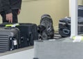 DNEPR, UKRAINE - WINTER, 2019: International Airport. Flight safety control. A trained dog spaniel sniffing suitcases