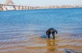 Professional diver near the river coastline. Commercial diving. Winter