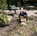 Employees of the city communal service plant flowers on the flower beds of the city