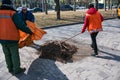 Two men and a woman collect old dry leaves in a spring park in a plastic bag. Municipal