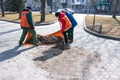 Two men and a woman collect old dry leaves in a spring park in a plastic bag. Municipal