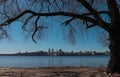 The Dnieper River on the background of a large tree on a sunny day overlooking the right bank of the city. Royalty Free Stock Photo
