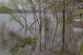 The Dnipro River overflowed, submerging a park area in Kyiv due to heavy rainfall and snowmelt. Royalty Free Stock Photo