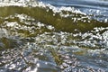 Dnipro river waters in motion after rowing extremely close up