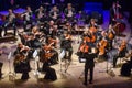 FOUR SEASONS Chamber Orchestra