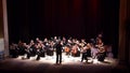 FOUR SEASONS Chamber Orchestra