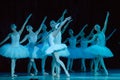 SWAN LAKE ballet