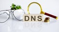 DNS concept on wooden cubes and flower ,glasses ,coins and magnifier on the white background Royalty Free Stock Photo