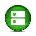 DNS icon on classy splash green round button illustration Royalty Free Stock Photo