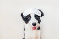 Do not disturb me, let me sleep. Funny cute smiling puppy dog border collie with sleeping eye mask isolated on white background. Royalty Free Stock Photo