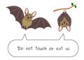 Do not eat or touch bats