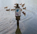 Do not feed ducks bread. Sign, & passing ducks Royalty Free Stock Photo