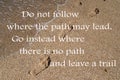 Do not follow where the path may lead. Go instead where there is no path and leave a trail