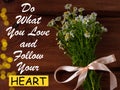 Do What You Love and Follow Your Heart text.Blooming camomiles with green leaves. Blurred bokeh lights flower background Royalty Free Stock Photo