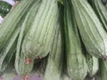 Do you know, that the luffa vegetable has many benefits for the health of the body, one of which is blood circulation.