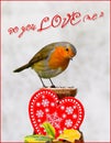 Do You Love Me? Question asked by robin bird on red heart. Valentine greeting card