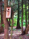 Do-it-yourself wooden birdhouse. Nesting house. Eco life