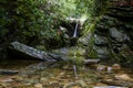 Dobbins Creek, Blue Ridge Parkway