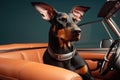 Doberman in a car without a roof, a dog in glasses behind the wheel, trips with animals, trips with dogs. Generative AI Royalty Free Stock Photo