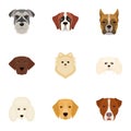 Doberman, Dalmatian, Dachshund, Spitz, Stafford and other breeds of dogs.Muzzle of the breed of dogs set collection