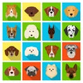 Doberman, Dalmatian, Dachshund, Spitz, Stafford and other breeds of dogs.Muzzle of the breed of dogs set collection