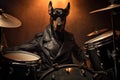 A Doberman dog in a leather jacket and black glasses sits at the reels