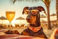 Doberman dog is relaxing on the beach with a cocktail. Resort holiday concept with pets. Generative AI