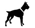 doberman dog silhouette, pets in silhouette