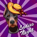 Doberman dog in Wide-brimmed hat. Ladies night. Vector illustration.