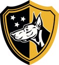 Doberman Guard Dog Stars Shield Royalty Free Stock Photo