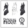 Doberman Pincher Dog icons set