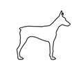 Doberman Pincher dog line contour vector illustration isolated. German military guardian dog for detecting smuggling drugs.