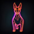 Doberman pincher. Neon outline icon with a light effect
