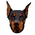 Doberman pinscher, american doberman, pet logo, dog doberman