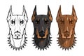 Doberman pinscher, american doberman, pet logo, dog doberman, colored pets for design, colour illustration suitable as logo or tea Royalty Free Stock Photo