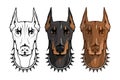 Doberman pinscher, american doberman, pet logo, dog doberman, colored pets for design, colour illustration suitable as logo or tea