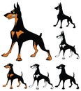 Doberman pinscher guard dog cartoon set