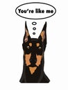 Doberman pinscher realistic and head thinking bubble drawing background