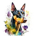 doberman pinscher watercolor clipart on white background