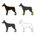 Doberman vector icon in cartoon style for web