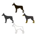 Doberman vector icon in cartoon,black style for web