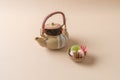 Dobin mushi - steamed matsutake mushroom and pike conger with Japanese broth in an earthenware teapot