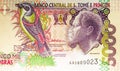 5000 Dobras banknote. Bank of Sao Tome and Principe. Fragment: Papa Figo bird - PrÃÂ­ncipe Glossy-starling Lamprotornis ornatus Royalty Free Stock Photo