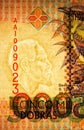 5000 Dobras banknote. Bank of Sao Tome and Principe. Fragment: Watermark Rei Amador, leader of a slave revolt in the archipelago Royalty Free Stock Photo