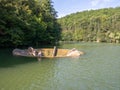 Vida Lake, Dobresti, Romania