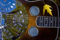 Dobro Guitar with Fall Color Royalty Free Stock Photo